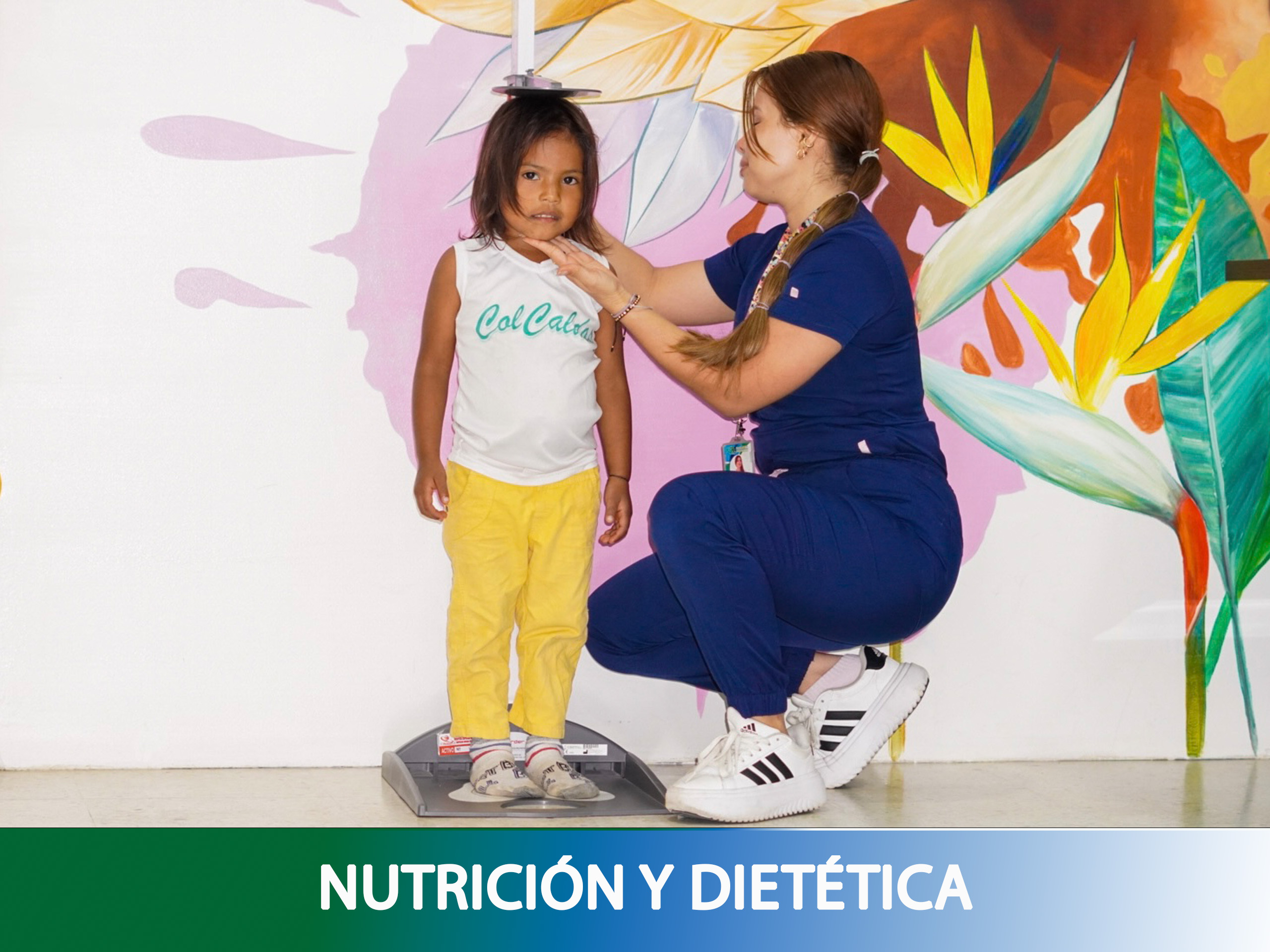 Nutrición